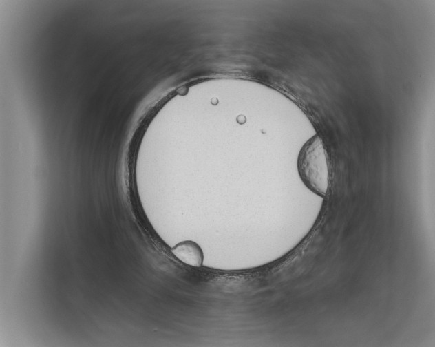 X0000110860294200907161402