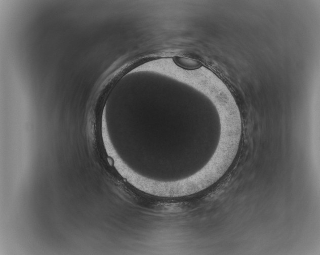 X0000110860295200907161402