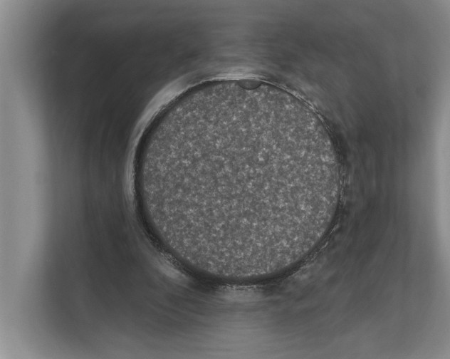 X0000110860296200907161402