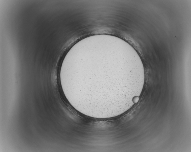 X0000110860298200907161402
