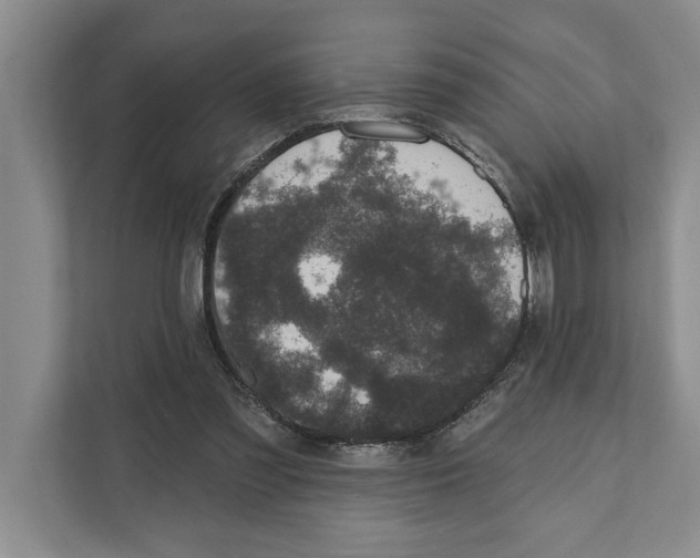 X0000110860301200907161402
