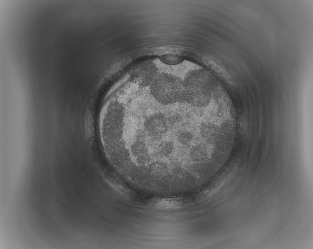 X0000110860303200907161402