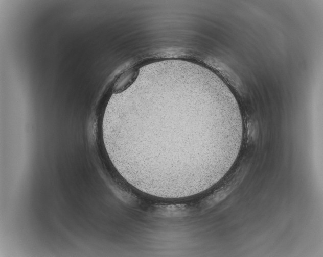 X0000110860304200907161402