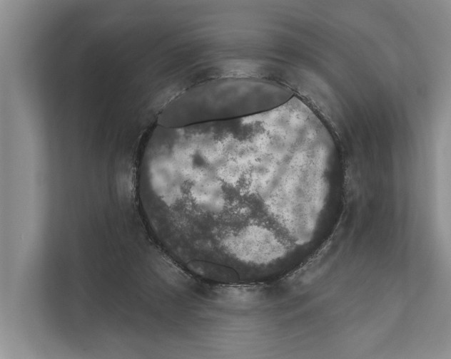 X0000110860305200907161402
