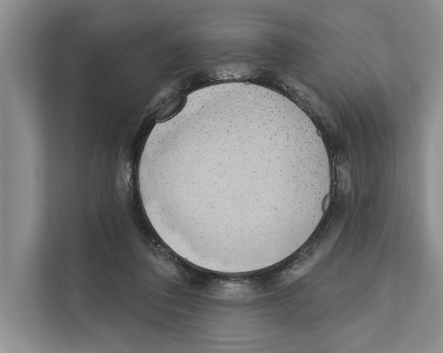 X0000110860308200907161402
