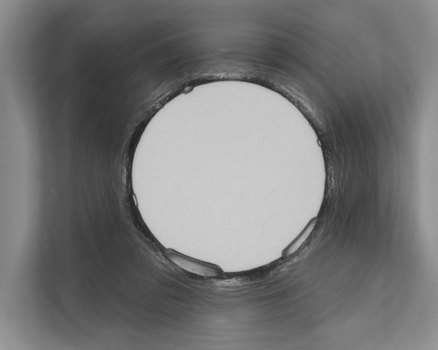 X0000110860309200907161402