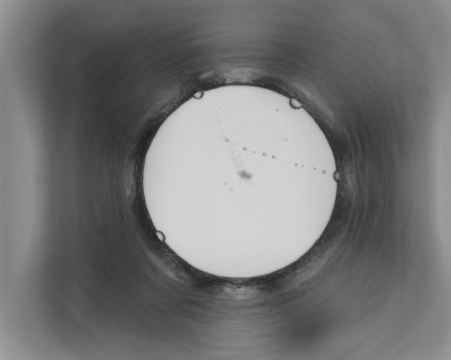 X0000110860311200907161402