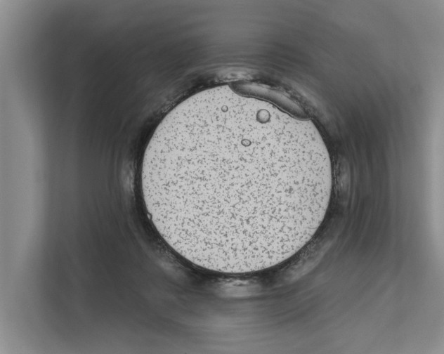 X0000110860315200907161402