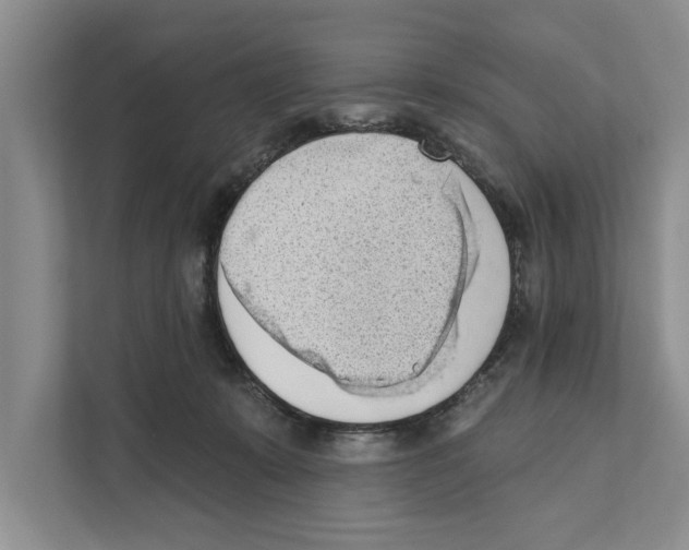 X0000110860319200907161402