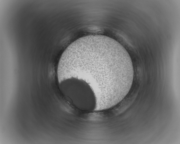 X0000110860320200907161402