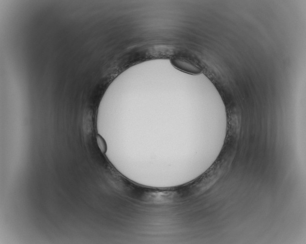 X0000110860323200907161402