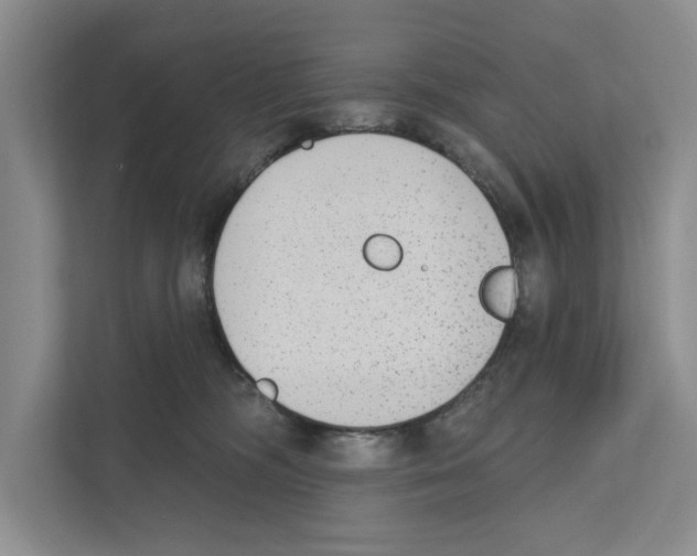 X0000110860326200907161402