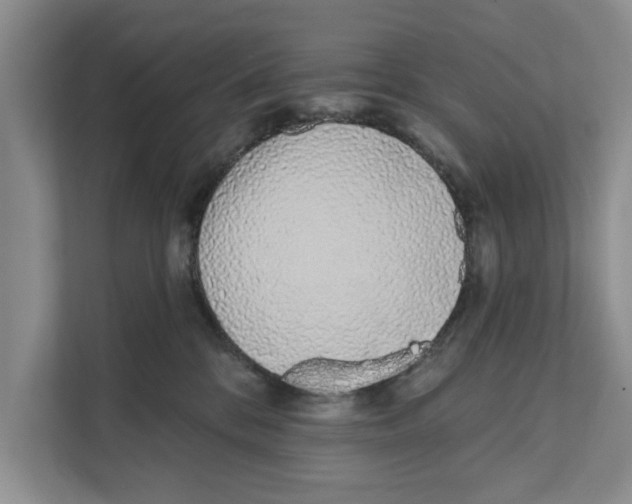 X0000110860328200907161402
