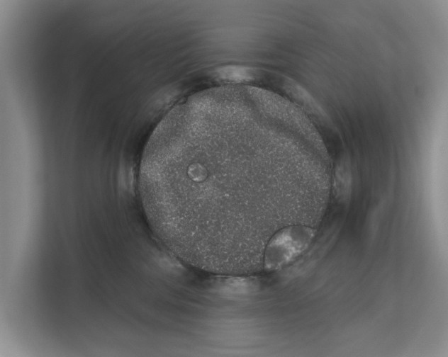 X0000110860330200907161402