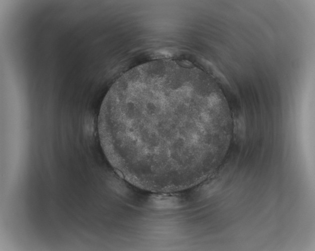 X0000110860331200907161402