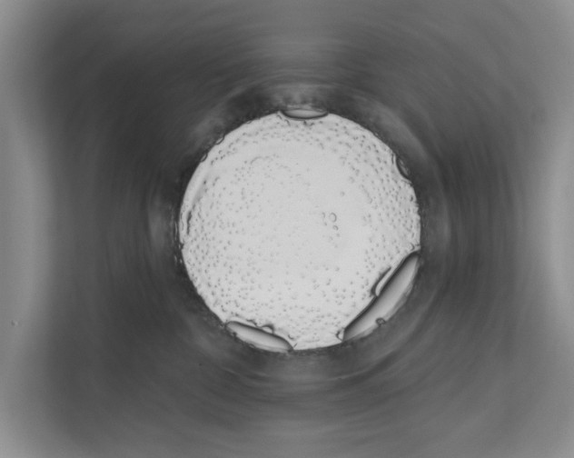 X0000110860332200907161402