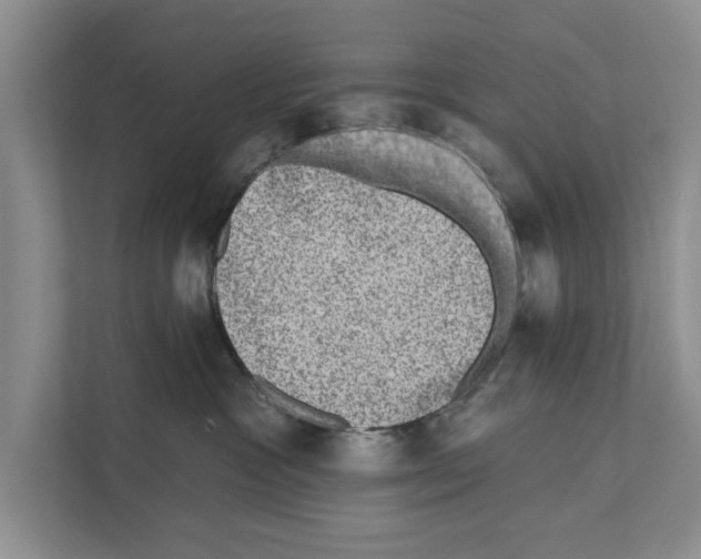 X0000110860333200907161402