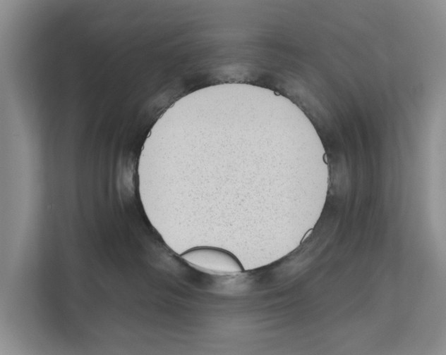 X0000110860334200907161401