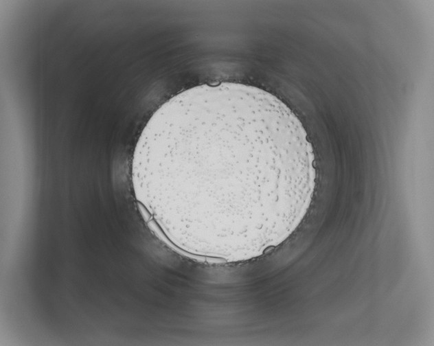 X0000110860336200907161401