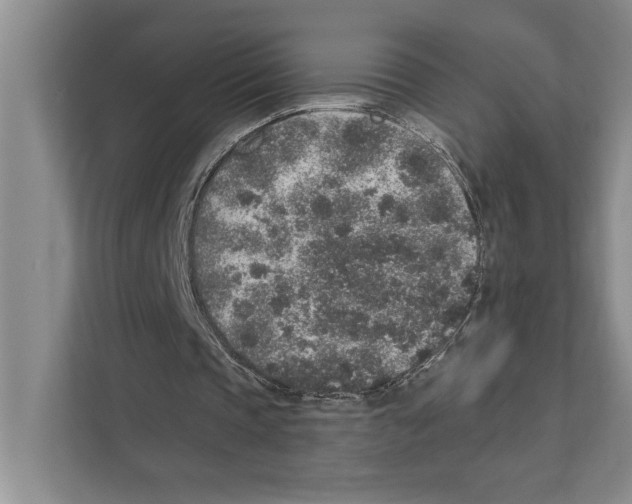 X0000110860337200907161401