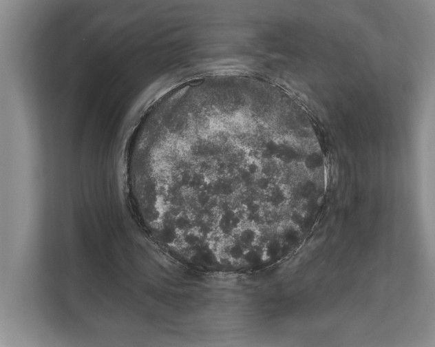X0000110860339200907161401