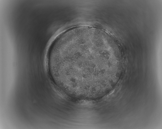 X0000110860343200907161401