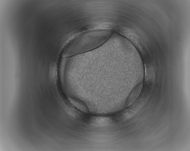 X0000110860348200907161401