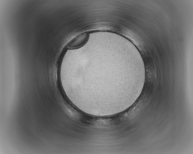 X0000110860350200907161401