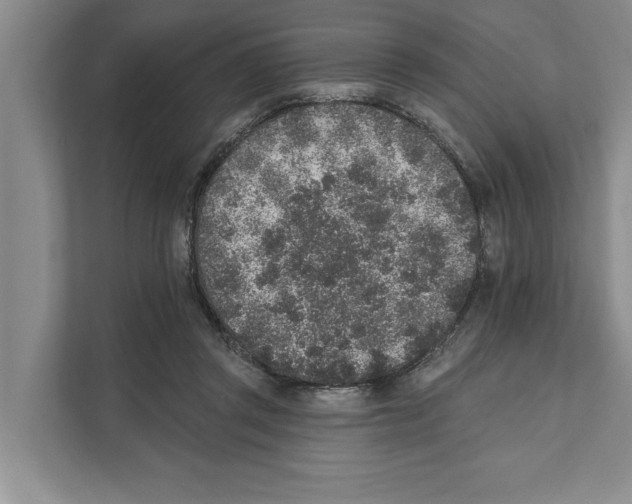 X0000110860357200907161401
