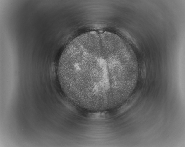 X0000110860366200907161401