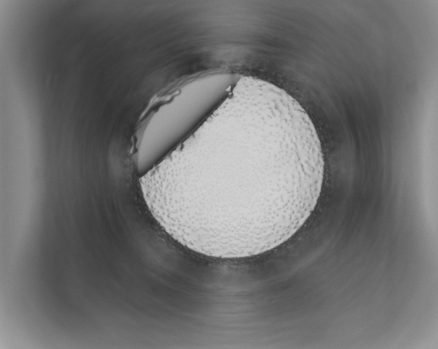 X0000110860372200907161401