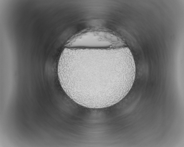 X0000110860376200907161401