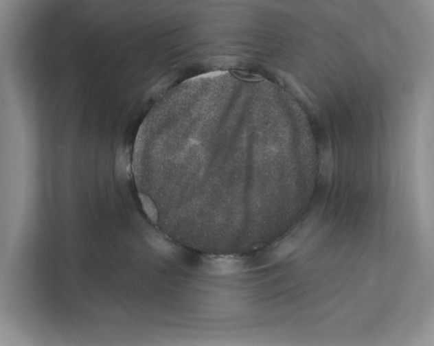 X0000110860383200907161401