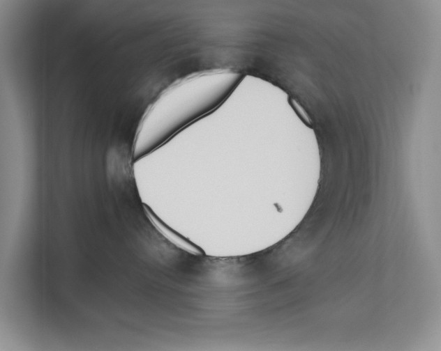 X0000110860384200907161401
