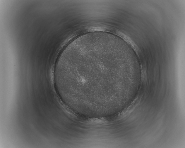 X0000110860386200907161401