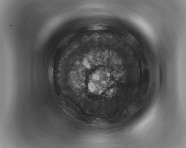 X0000110860387200907161401