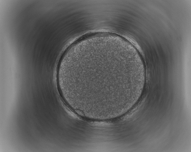X0000110860389200907161401