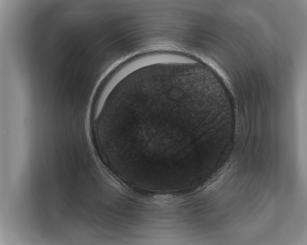 X0000110860391200907161401