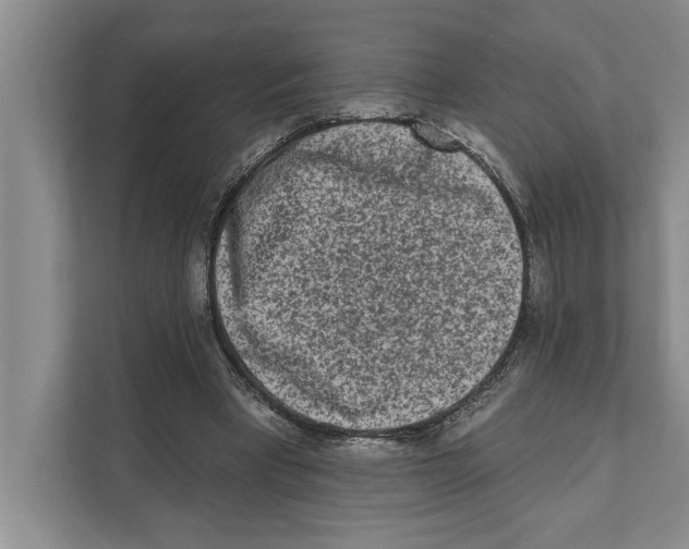 X0000110860393200907161401