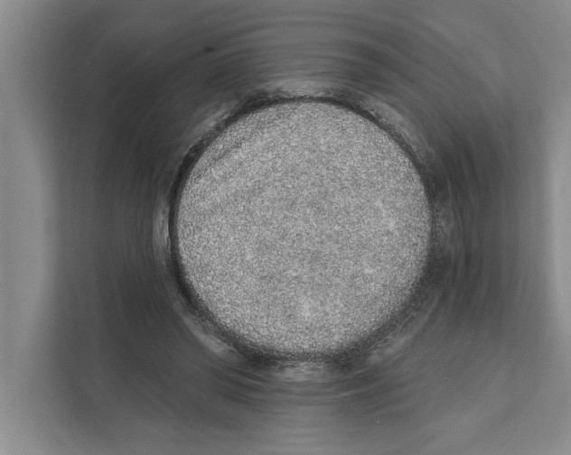 X0000110860398200907161401