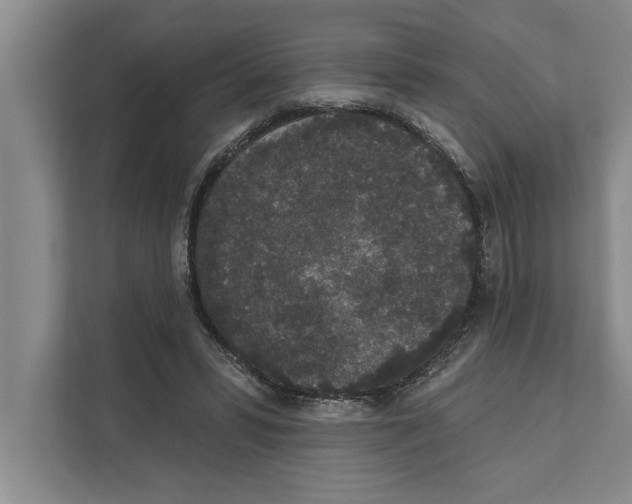 X0000110860399200907161401