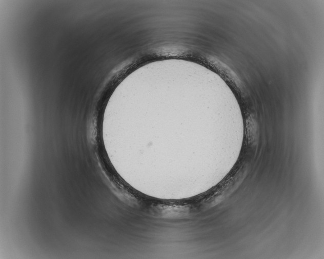 X0000110860400200907161401