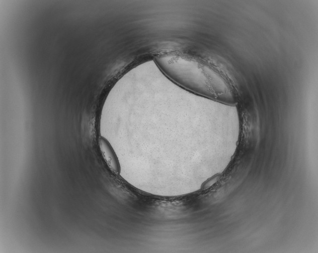 X0000110860403200907161401