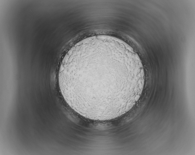 X0000110860405200907161401