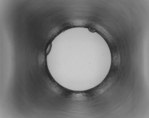 X0000110860407200907161400