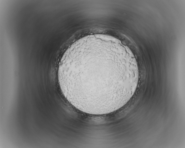 X0000110860409200907161400