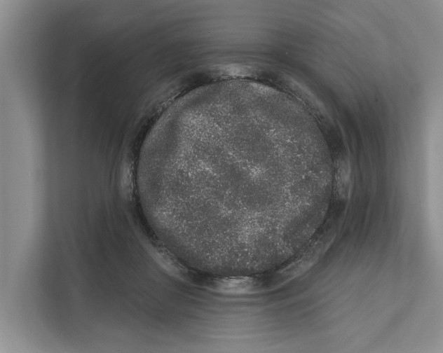 X0000110860410200907161400