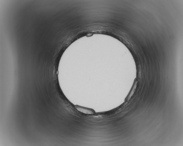 X0000110860411200907161400