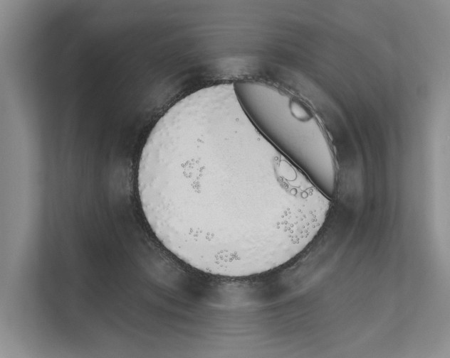X0000110860413200907161400