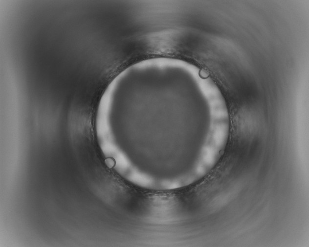 X0000110860415200907161400